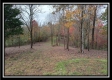 Tract 1 - Bohemian Woods property photo