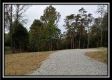 Tract 1 - Bohemian Woods property photo