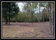 Tract 1 - Bohemian Woods property photo