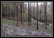 The Pond at Bohemian Woods property photo