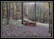 The Pond at Bohemian Woods property photo