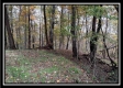 The Pond at Bohemian Woods property photo