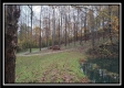 The Pond at Bohemian Woods property photo