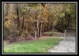 The Pond at Bohemian Woods property photo