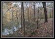 The Pond at Bohemian Woods property photo