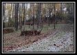 The Pond at Bohemian Woods property photo