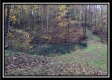 The Pond at Bohemian Woods property photo