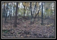 The Pond at Bohemian Woods property photo