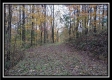 The Pond at Bohemian Woods property photo
