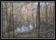 The Pond at Bohemian Woods property photo
