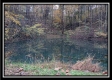 The Pond at Bohemian Woods property photo