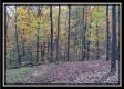 The Pond at Bohemian Woods property photo