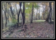 The Pond at Bohemian Woods property photo