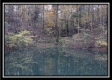 More of The Pond at Bohemian Woods