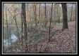 The Pond at Bohemian Woods property photo