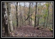The Pond at Bohemian Woods property photo