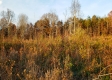 Hilltop Cabin at Deer Ridge property photo