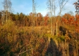 Hilltop Cabin at Deer Ridge property photo