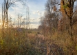 Hilltop Cabin at Deer Ridge property photo