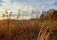 Hilltop Cabin at Deer Ridge property photo