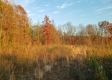 Hilltop Cabin at Deer Ridge property photo