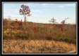 Hilltop Cabin at Deer Ridge property photo