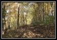 1476 Whetstone Road property photo