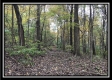 1476 Whetstone Road property photo