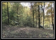 1476 Whetstone Road property photo