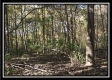 1476 Whetstone Road property photo