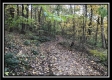 1476 Whetstone Road property photo