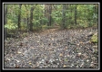 1476 Whetstone Road property photo