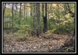 1476 Whetstone Road property photo
