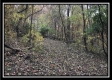 1476 Whetstone Road property photo