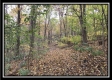 1476 Whetstone Road property photo