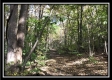 More of 1476 Whetstone Road
