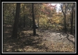 1476 Whetstone Road property photo