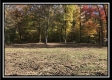 1476 Whetstone Road property photo