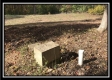 1476 Whetstone Road property photo