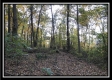 1721 N Benner Hill Rd property photo