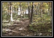 1721 N Benner Hill Rd property photo