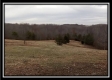 More of Ponderosa Cabin - Tract 12
