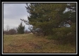 Tract 13 - Number 12 Hollow property photo