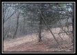 Tract 13 - Number 12 Hollow property photo