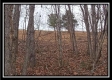 Tract 13 - Number 12 Hollow property photo