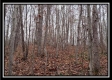 Tract 13 - Number 12 Hollow property photo