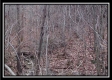 Tract 13 - Number 12 Hollow property photo