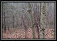 Tract 13 - Number 12 Hollow property photo