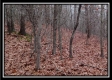 Tract 13 - Number 12 Hollow property photo