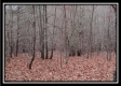 Tract 13 - Number 12 Hollow property photo